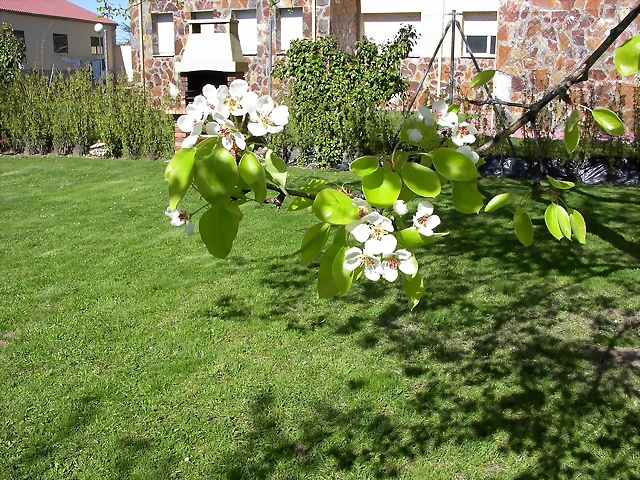 Navafría: primavera verano 2006 30