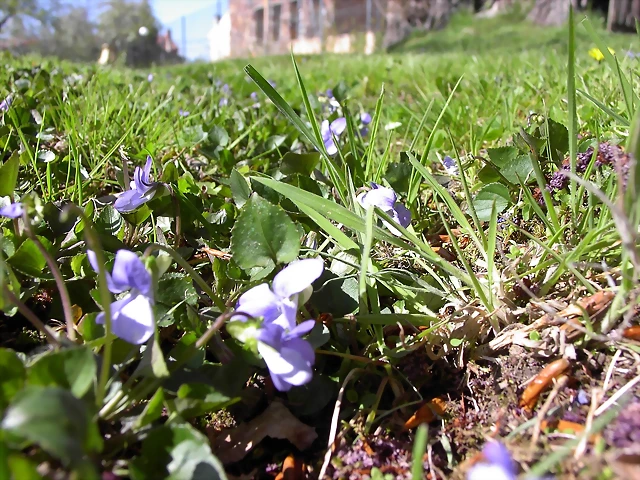 Navafría: primavera verano 2006 34