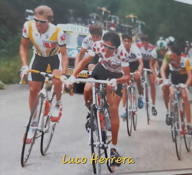 Perico-Tour1987-Herrera-Mottet-Roche-Lejarreta-Alcal?-Fuerte