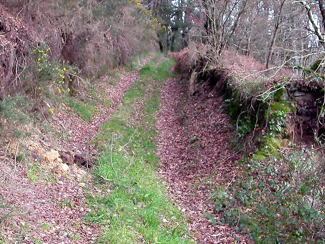 DSCN1982 DSCN1982