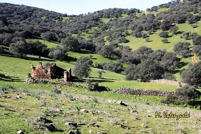 009, cortijo rajao