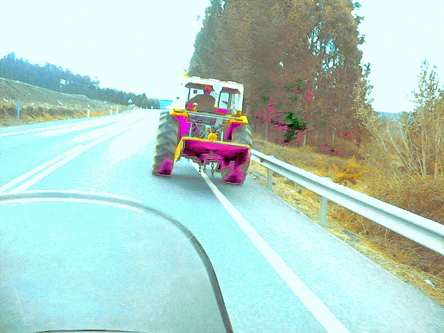 DSCN1933 DSCN1933