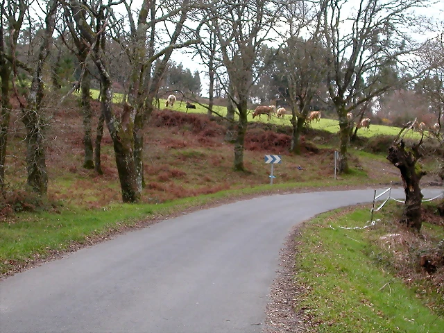 DSCN1984 DSCN1984
