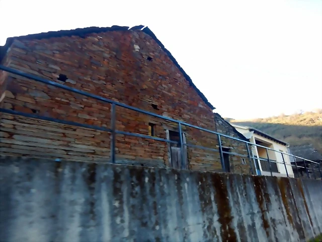 DSCN4061