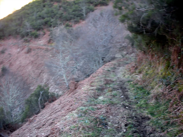 DSCN3014 DSCN3014