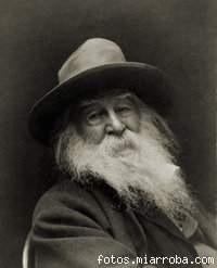 whitman