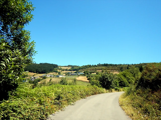 DSCN3916 DSCN3916