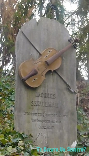 violin violin