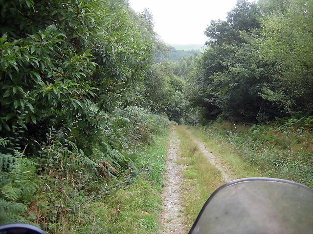 IMG_0241 IMG_0241