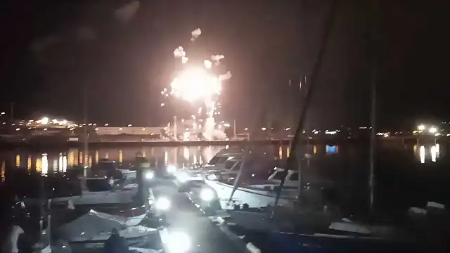 41 41