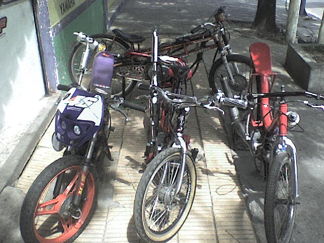 ciclo4