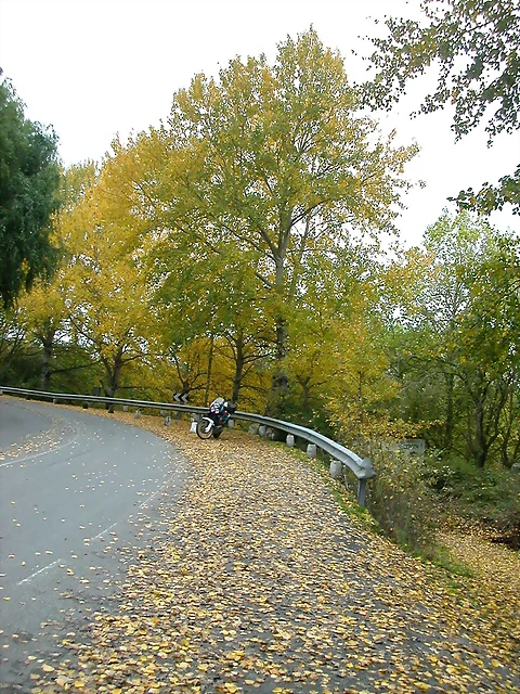 DSCN5836 DSCN5836