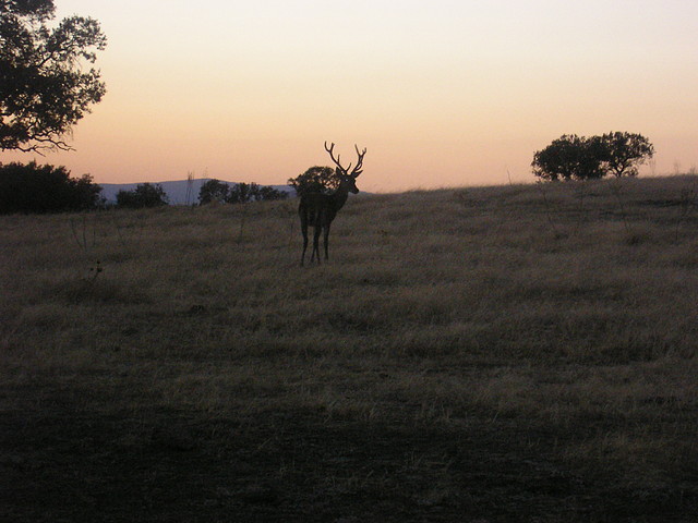 VILLAMALO VERANO 2004 (7)