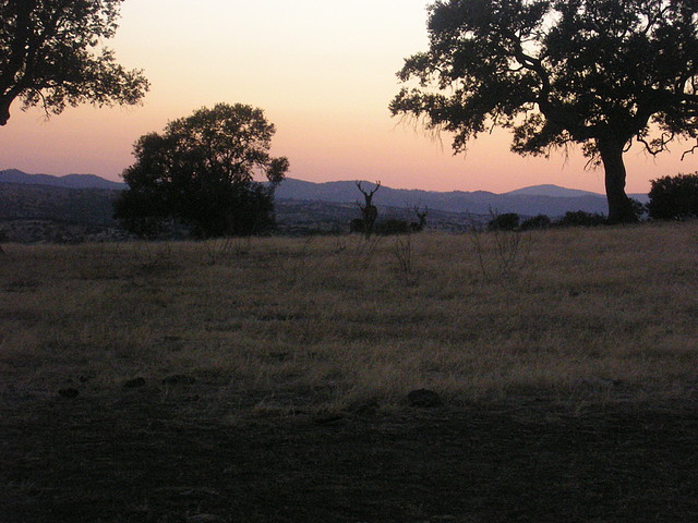 VILLAMALO VERANO 2004 (8)