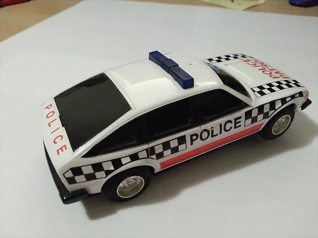 Rover police