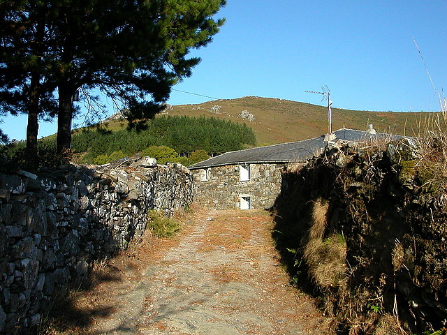 DSCN7934 DSCN7934