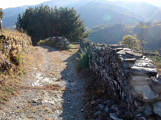 DSCN7932 DSCN7932