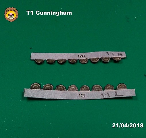 t1 cunningham-12