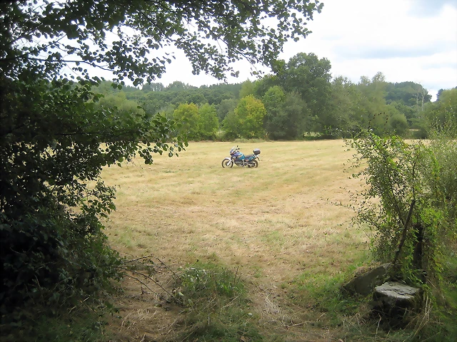 IMG_0409 IMG_0409