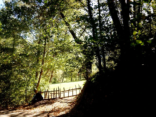 DSCN9164 DSCN9164