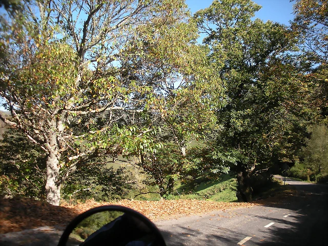DSCN0082 DSCN0082