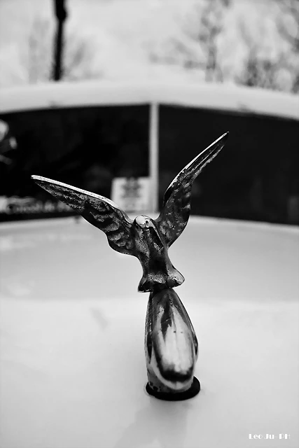 DSC_0174 DSC_0174