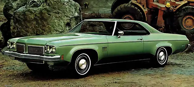 oldsmobile_delta_88_1973_pictures_1