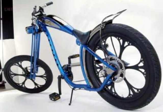 bicicletas-raras-15[1]