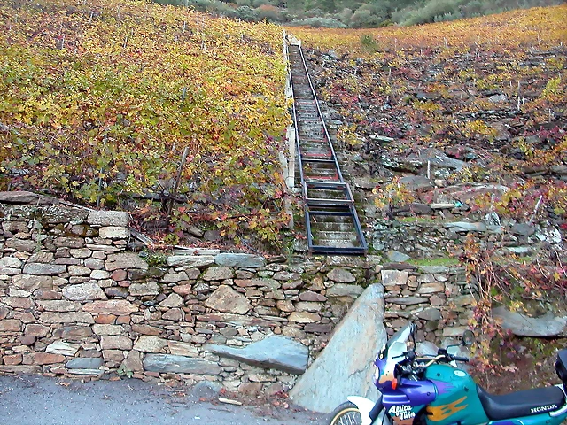DSCN6560 DSCN6560