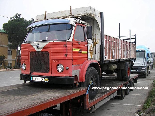 PEGASO EUROPA PEGASOESMICAMION