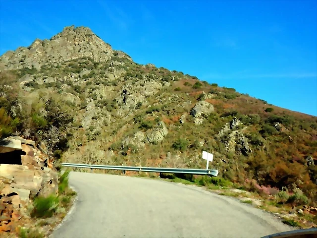 DSCN4031 DSCN4031