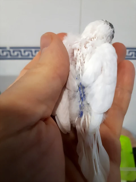 20190518_142048 20190518_142048
