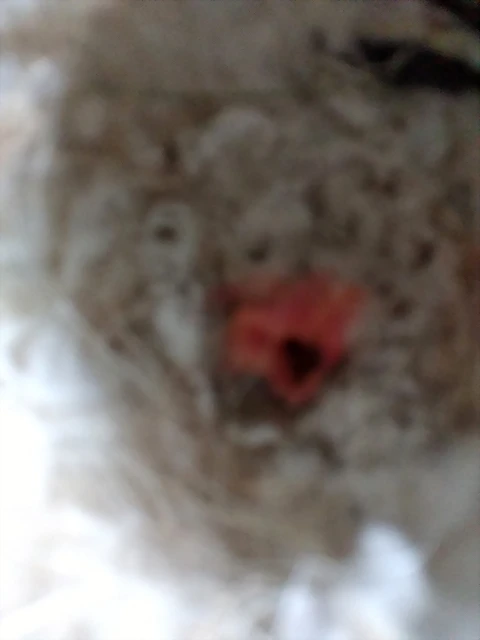 IMG_20190609_091536