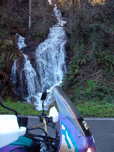 DSCN5595 DSCN5595