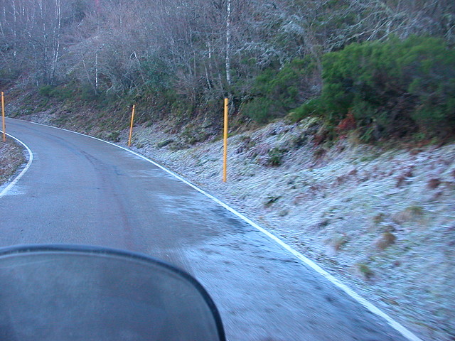 DSCN5559 DSCN5559
