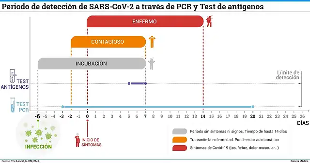 Periodo-de-detecci?n-de-SARS-CoV-2-a-trav?s-de-PCR-y-Test-de-ant?genos