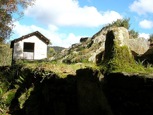 DSCN9222 DSCN9222
