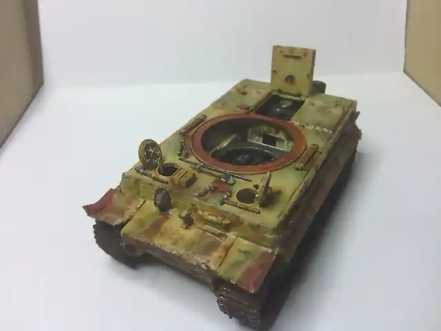 Tiger119