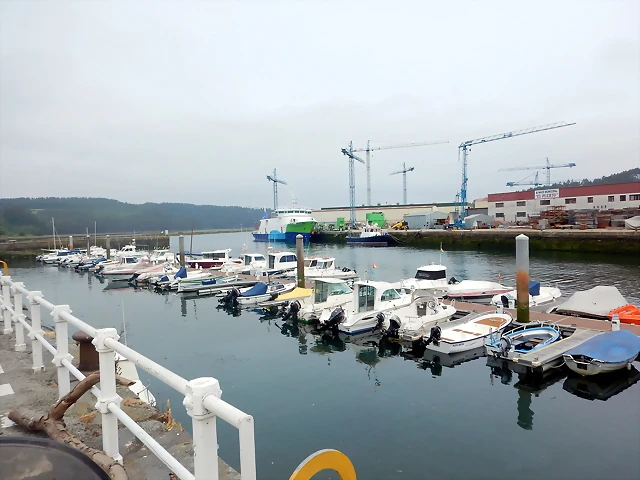 DSCN3310 DSCN3310
