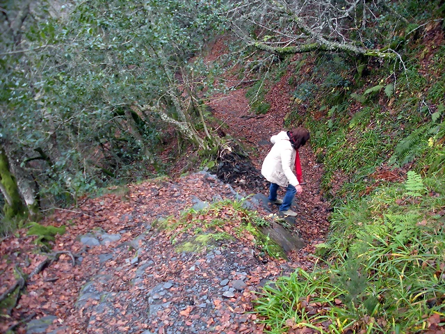 DSCN0743 DSCN0743
