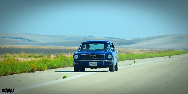DSC_0399 DSC_0399