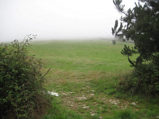 IMG_0227 IMG_0227
