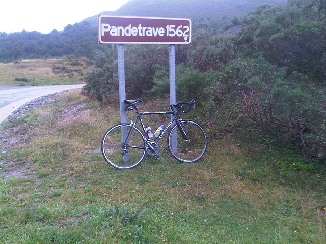 Pandetrave