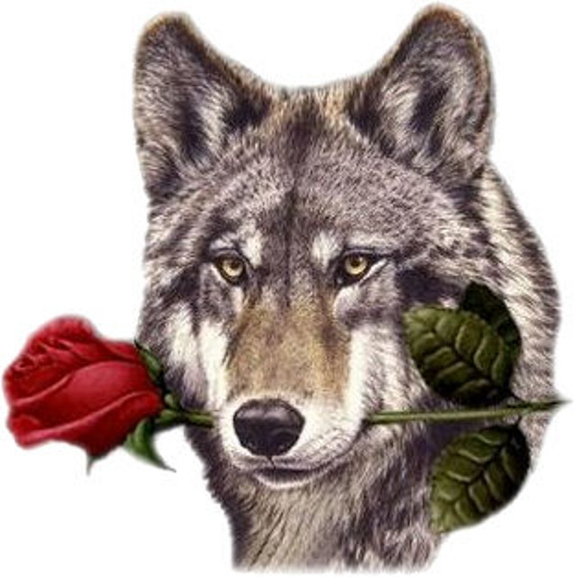 EL_LOBO_DEL_AMOR