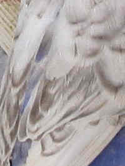 detalle plumas