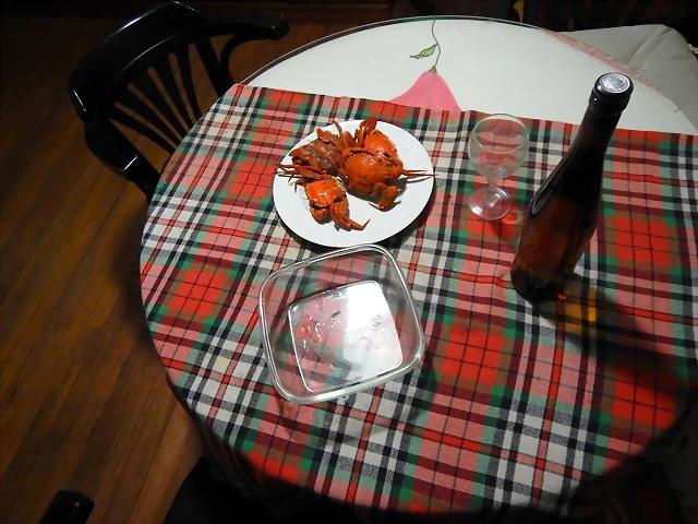 DSCN9746 DSCN9746