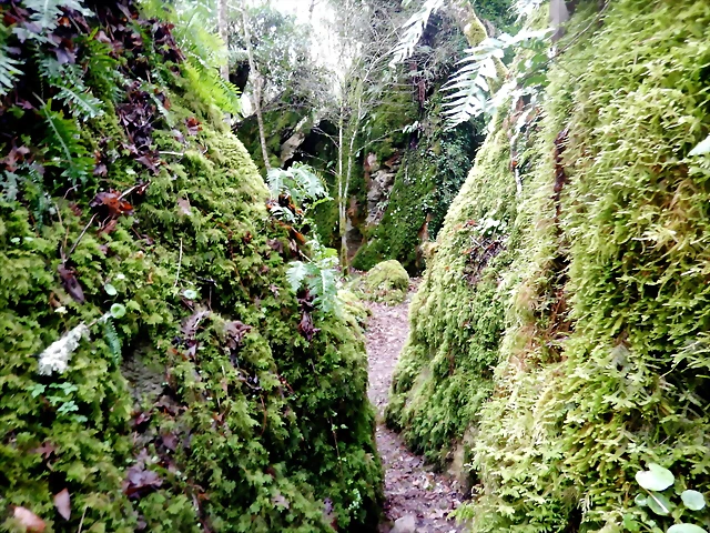 DSCN4812 DSCN4812