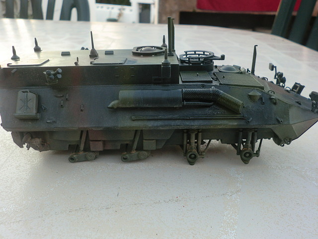 lav polvo 010