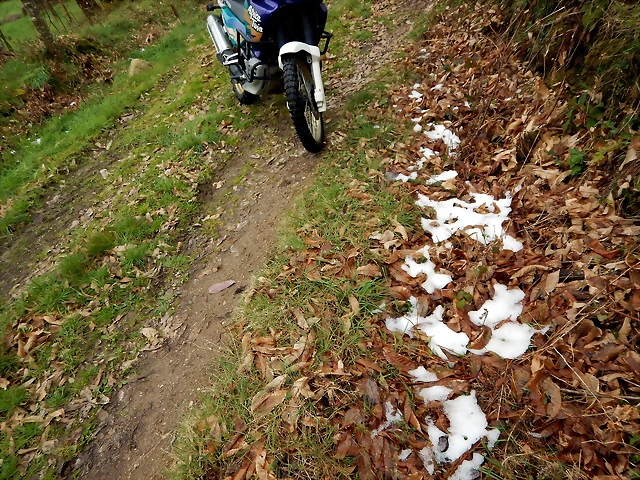 DSCN2963 DSCN2963