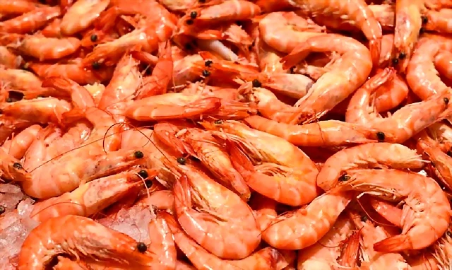 LANGOSTINOS